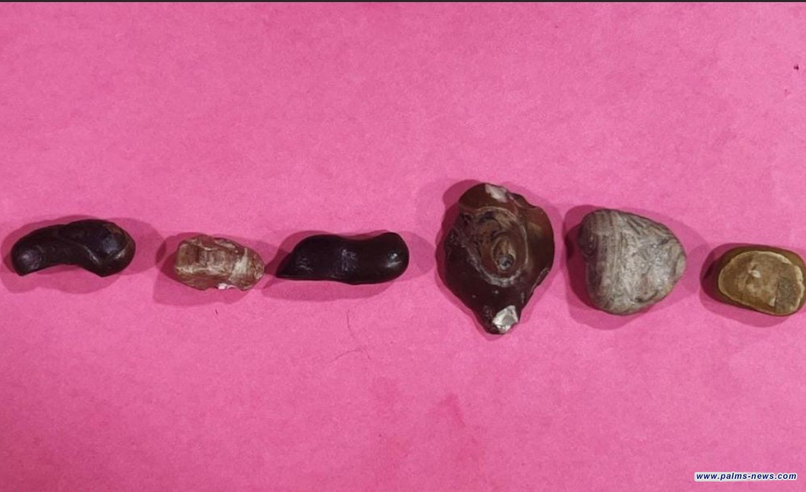 الإطاحة بمهربي آثار بحوزتهما قطع تعود لعصور قديمة في الديوانية